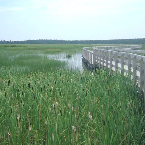 Maybe another way would have been better (Eclectic Playlist Series 10.9)