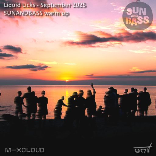 Liquid Licks (sunandbass warm up) - September 2025