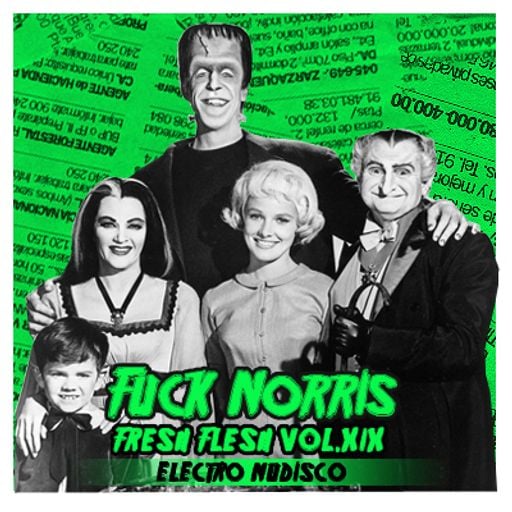 FRESH FLESH VOL.19 BY FUCK NORRIS