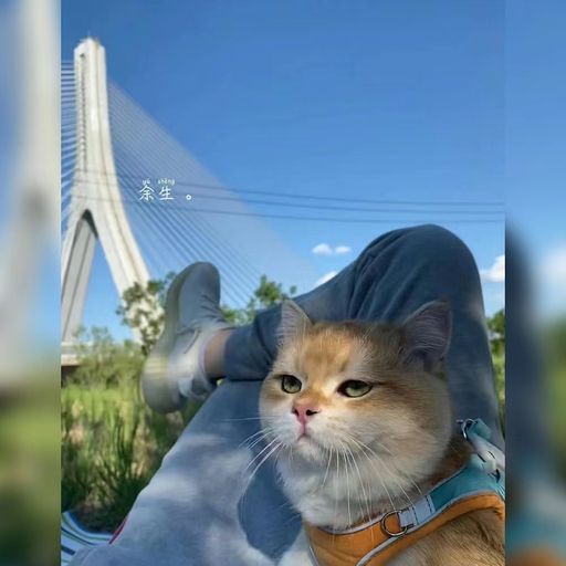 DJ'YE【Yakult Private Mix VVIP】《旺仔小喬 - 櫻花樹下的約定 x Zyboy 忠宇 - 媽媽的話 x 1K - 就忘了吧 x En - 鏡花水月》Mixtape 2x22