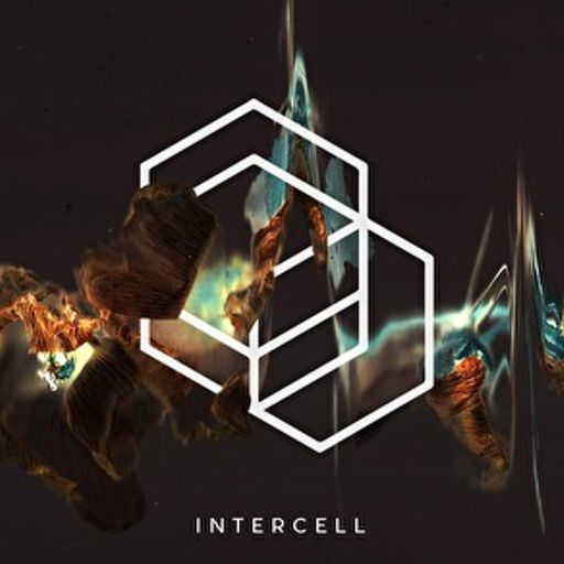 Thomas P Heckmann at "Intercell Acid Night" @ H7 Warehouse (Amsterdam-NL) - 25 January 2019