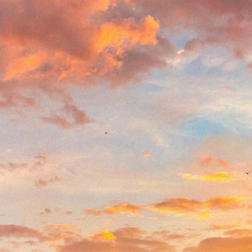 Where Earth Meets Sky w/ Chi-Chi Usagi - 27th December 2025