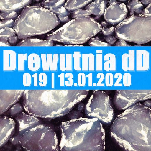 Drewutnia dD 019 | 13.01.2021 | Radio SPIN