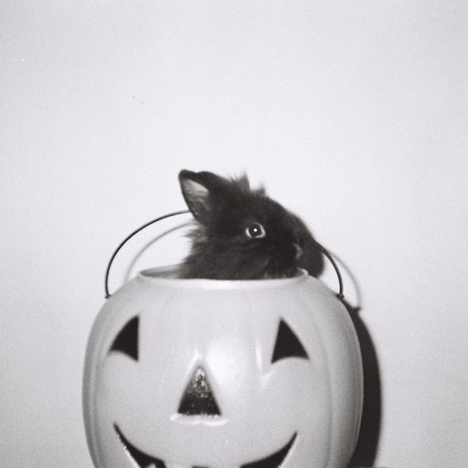 Machines of Loving Grace w/ Midwife - 18th October 2025