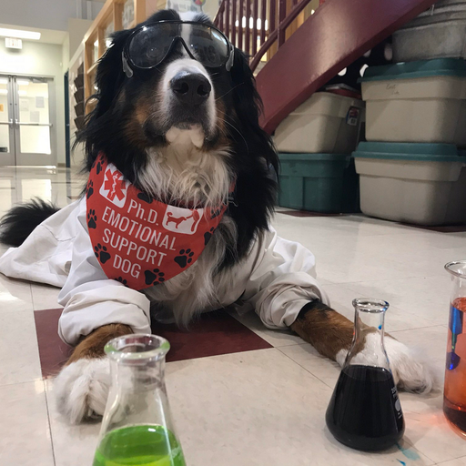 Freeman Preshaah lockdown April fool show