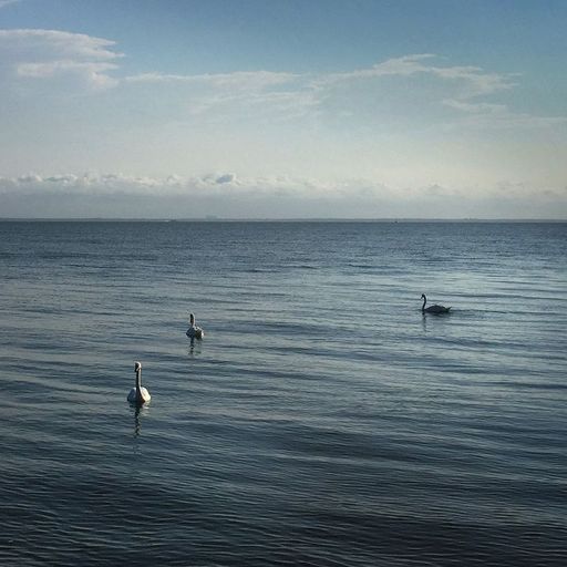 Each and Every Life - 3rd January 2026