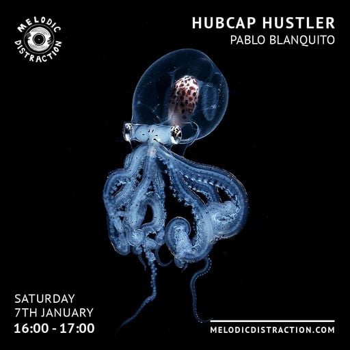 Hubcap Hustler with Pablo Blanquito (January '23)