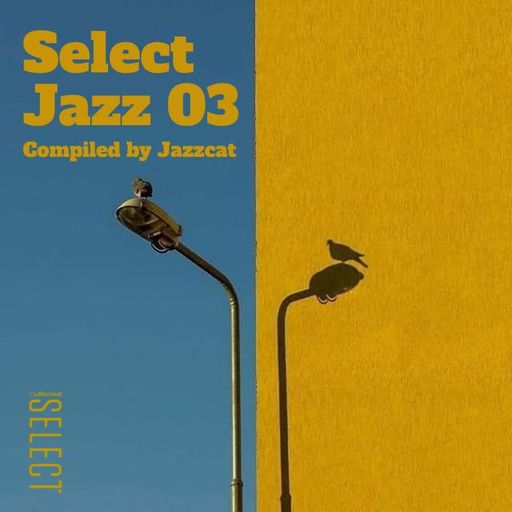 Select Jazz 03