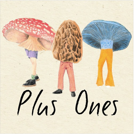 Plus Ones w/ Vandeleur - 09.05.20