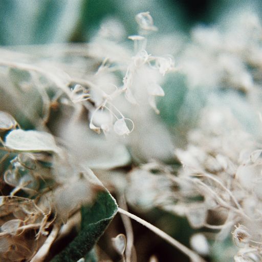 Floresta: Nicola Cruz with Cosmic JD // 28-09-20