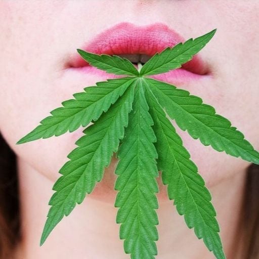 Lick it! (a Lickweed Session)