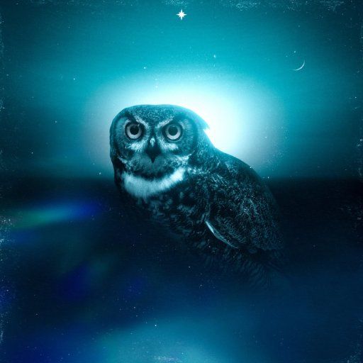 sabsounds *too hot* *niGhtOwl*