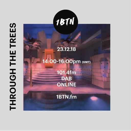 Ty_Through The Trees - 23.12.2018