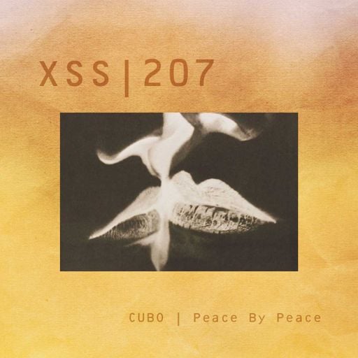 XSS207 | Cubo | Peace By Peace