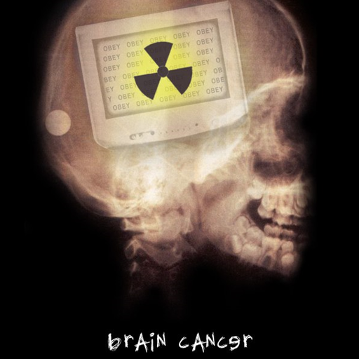 Collective Cognitive Dissonance