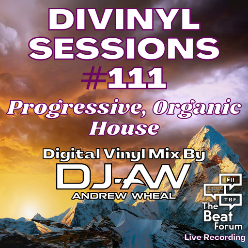 Divinyl Sessions #111 - Progressive, Organic House