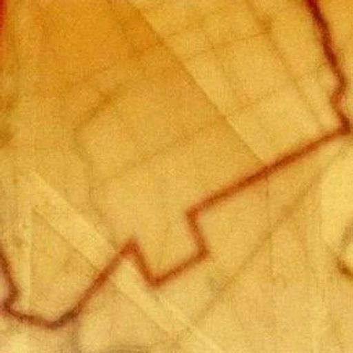 Sleeping Dogs Lie - 7 December 2025 (Brian Eno)
