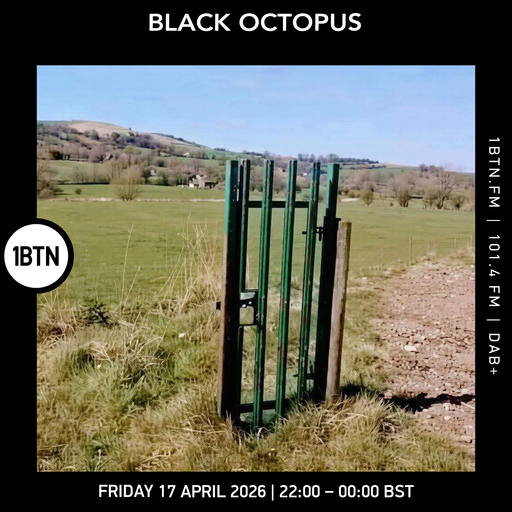 Black Octopus - 17.04.26