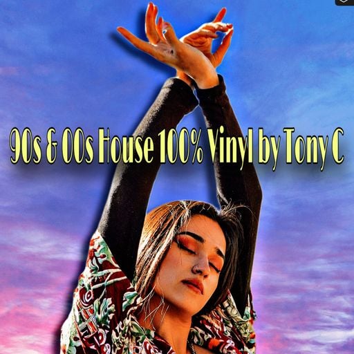 90s & 00s House 100% Vinyl Vol.41  14/9/25