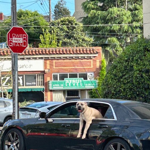 Street Level (04.28.2026)