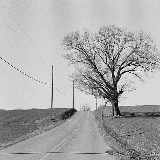 Appalachia Ambient w/ Matt Fox - 29th September 2025