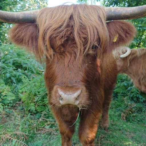 Belated B-day set... Mash up