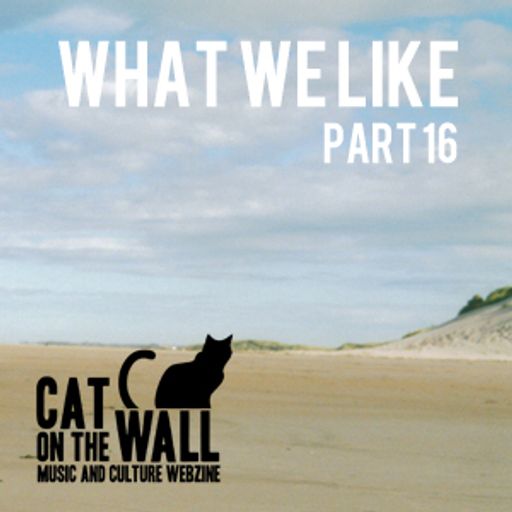 What We Like Part 16