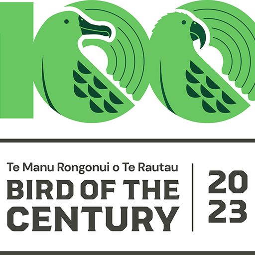 Bird Of The Century: Forest & Bird's Ellen Rykers on Breakfast - 30/10/2023
