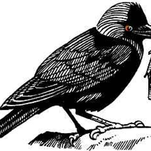 Rocking The Art World