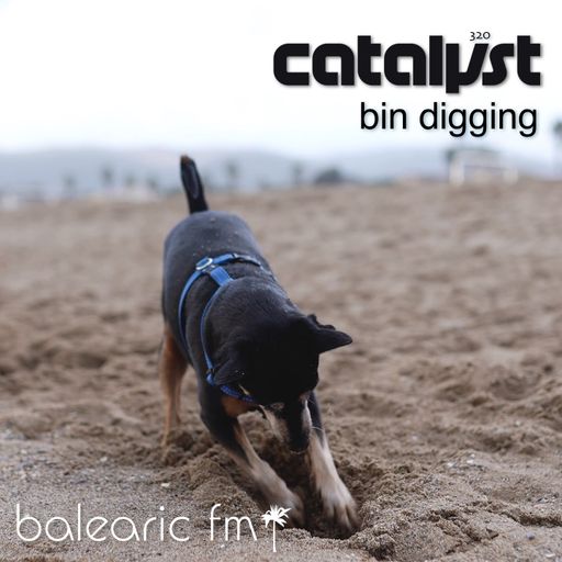 bin digging (catalyst, 320)