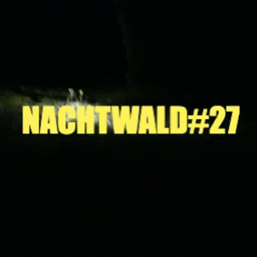 Perlmutt aka Pearlescent #27 Nachtwald 22.02.2026