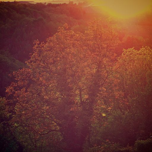morningtime mood music