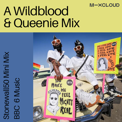 Wildblood and Queenie's Stonewall50 Disco Mini Mix