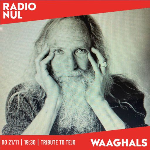 Tejo Michels Tribute - Waaghals / 21-11-2024