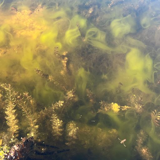 Daybreak w/ Ellie - 09/11/24 [Voices Radio]