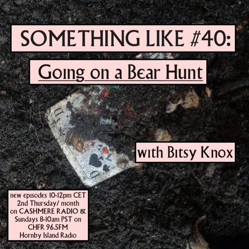 Something Like #40 - Going on a Bear Hunt w/ Bitsy Knox 13.01.2022