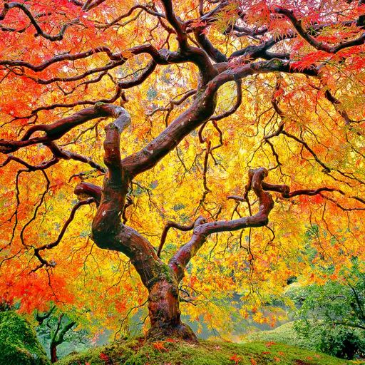 Seasons Change