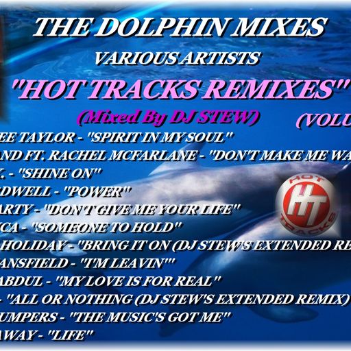 THE DOLPHIN MIXES - VARIOUS ARTISTS - ''HOT TRACKS REMIXES'' (VOLUME 28)