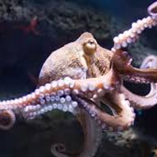 d-jack 20200104-23h49