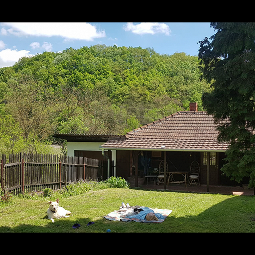 THE AESTHETICS OF EASE W/ PLUMDOSE - 29th December 2025