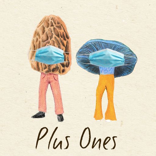 Plus Ones - 13.05.20