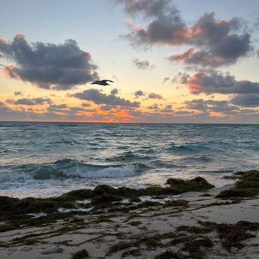 BEACH NOIR W/ NICK LEÓN - 25th February 2025