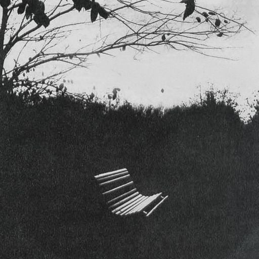 Forager Records - 6th November 2025