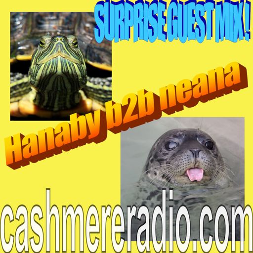 Cashmere Guest Mixes Hanaby b2b neana 12.04.2025