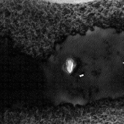 Unexplained Sounds #353 - 18th November 2024