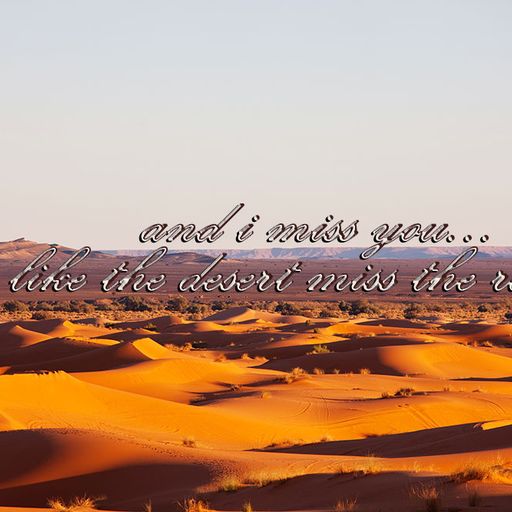 The desert miss the rain