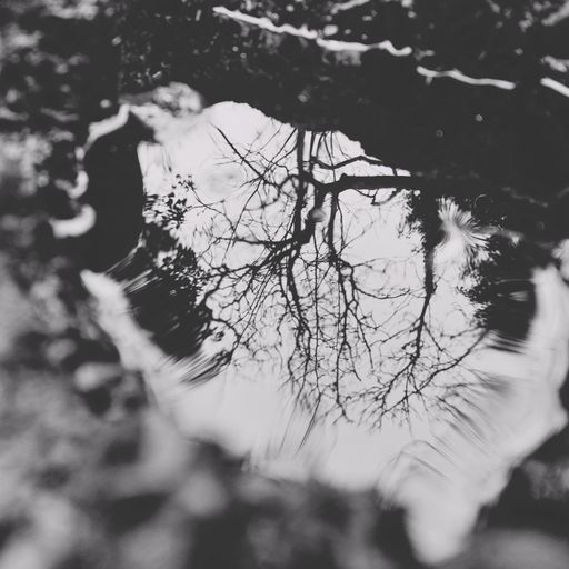 WMMU 34 - Jazzy, hip hoppy, electro swing-a-lingey,  open format python vibezzz!! (28/0326)