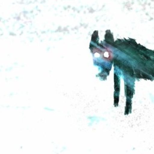 Naviar Broadcast #293 - A Black Dog - 15th November 2023