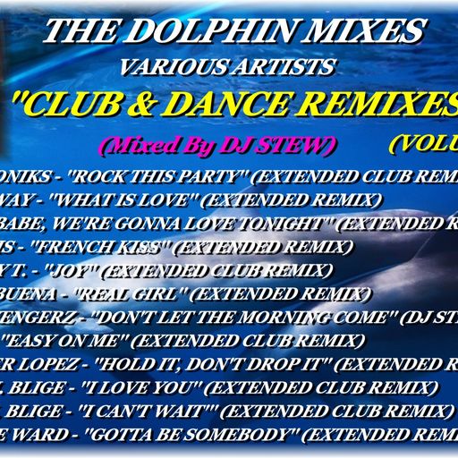 THE DOLPHIN MIXES - VARIOUS ARTISTS - ''CLUB & DANCE REMIXES'' (VOLUME 15)
