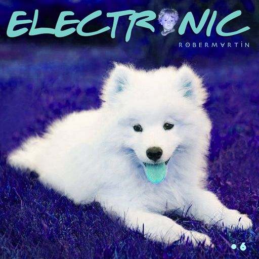 Electronic • 6 "A beautiful animal madness"